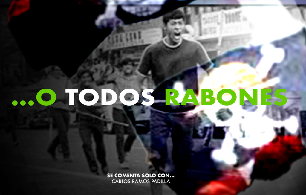 Triva Rabones …O TODOS RABONES » Latitud Megalópolis